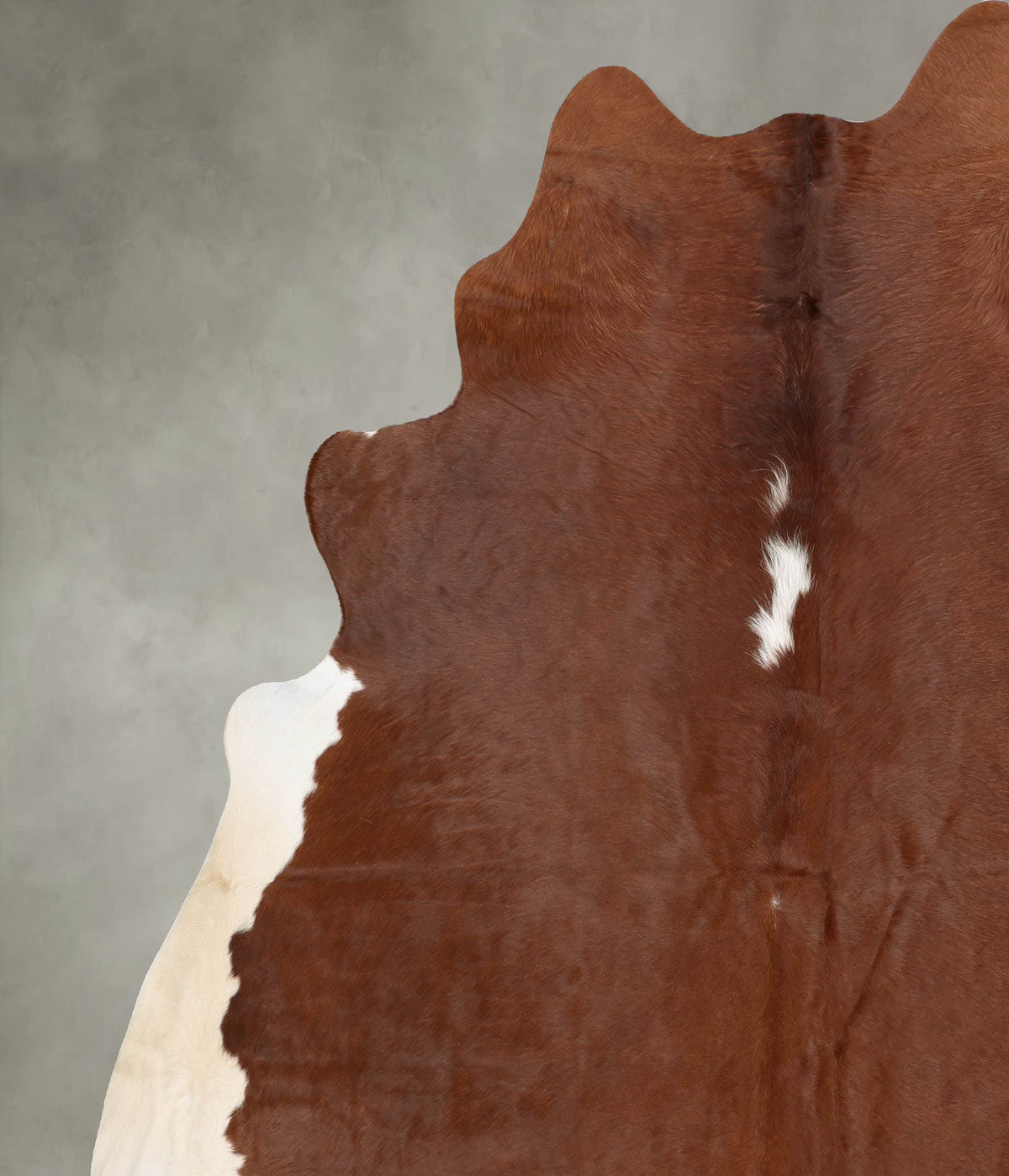 Brown and White Regular XX-Large Brazilian Cowhide Rug 8'2"H x 6'11"W #B31046 by Hudson Hides