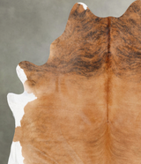 Medium Brindle XX-Large Brazilian Cowhide Rug 8'5"H x 6'10"W #B31049 by Hudson Hides