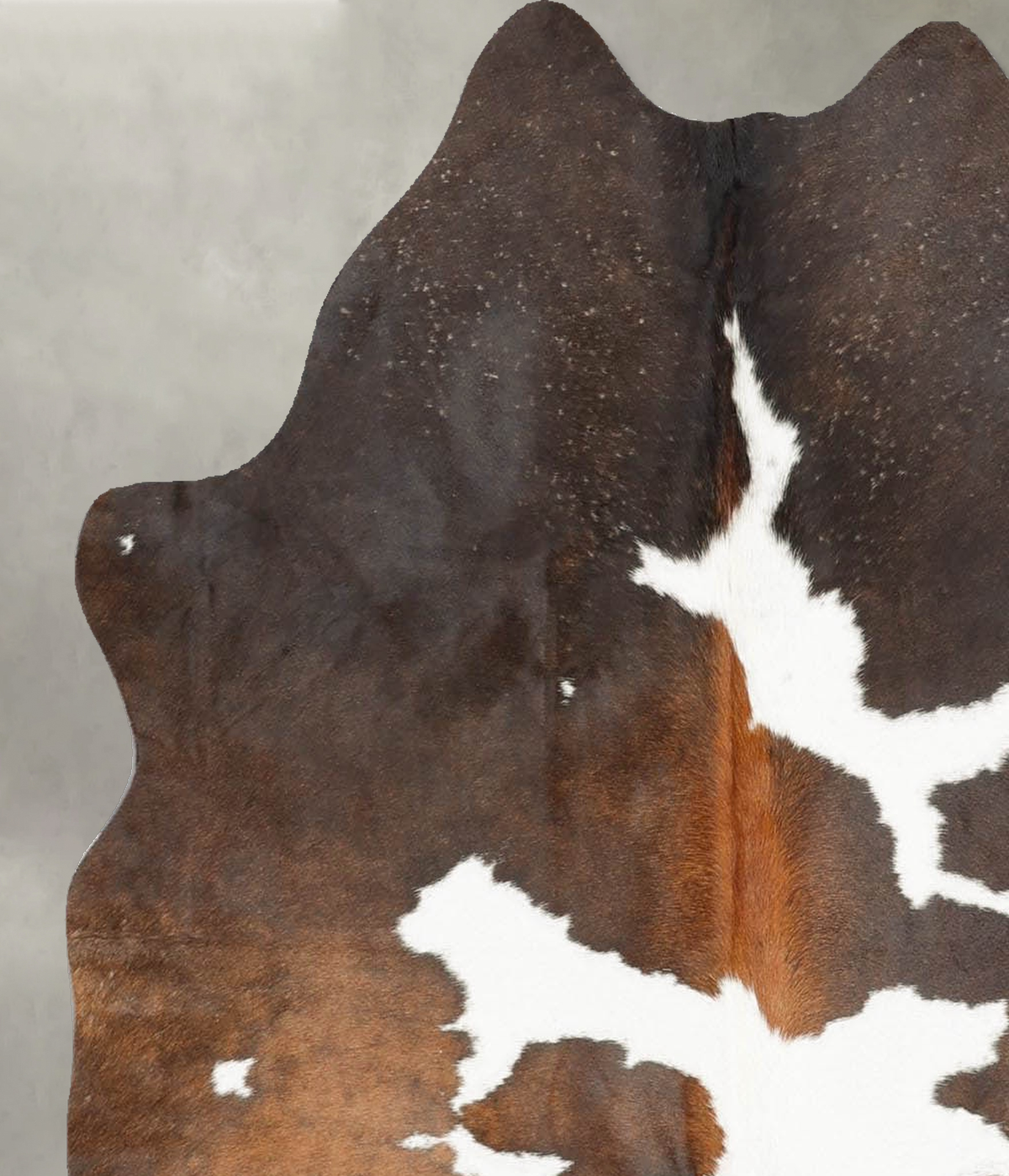 Chocolate and White Medium Brazilian Cowhide Rug 4'6"H x 4'0"W #B31053 by Hudson Hides
