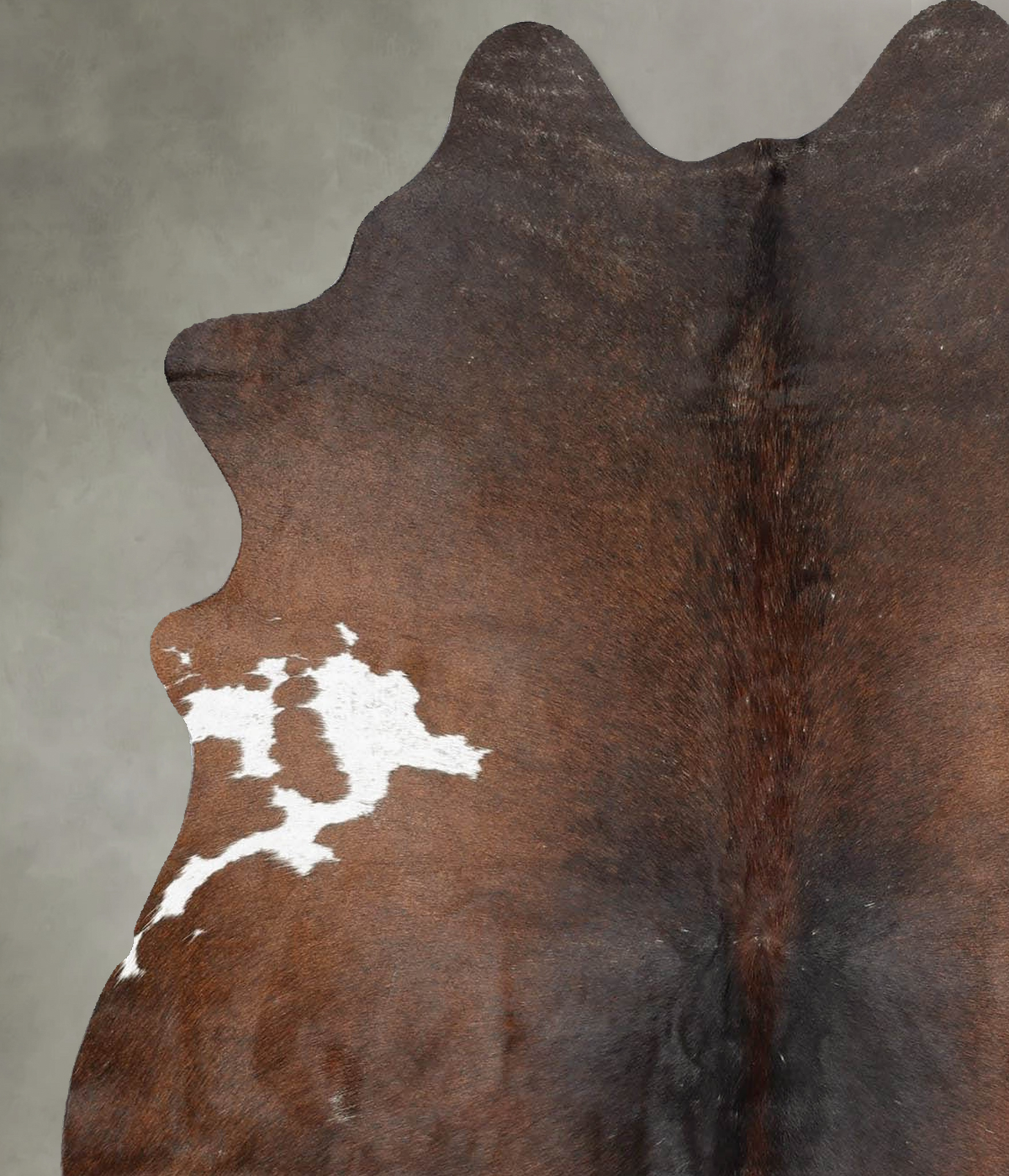 Chocolate and White Medium Brazilian Cowhide Rug 5'7"H x 4'5"W #B31060 by Hudson Hides