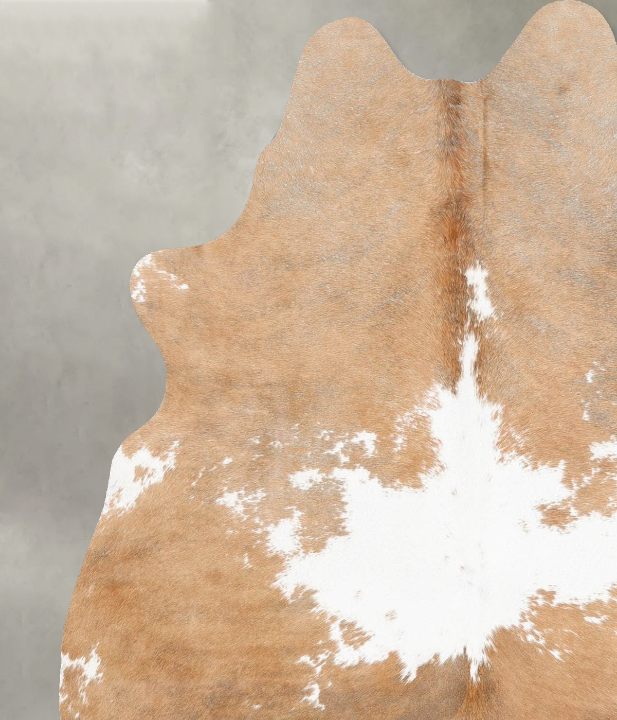 Light Caramel Medium Brazilian Cowhide Rug 6'0"H x 4'11"W #B31062 by Hudson Hides