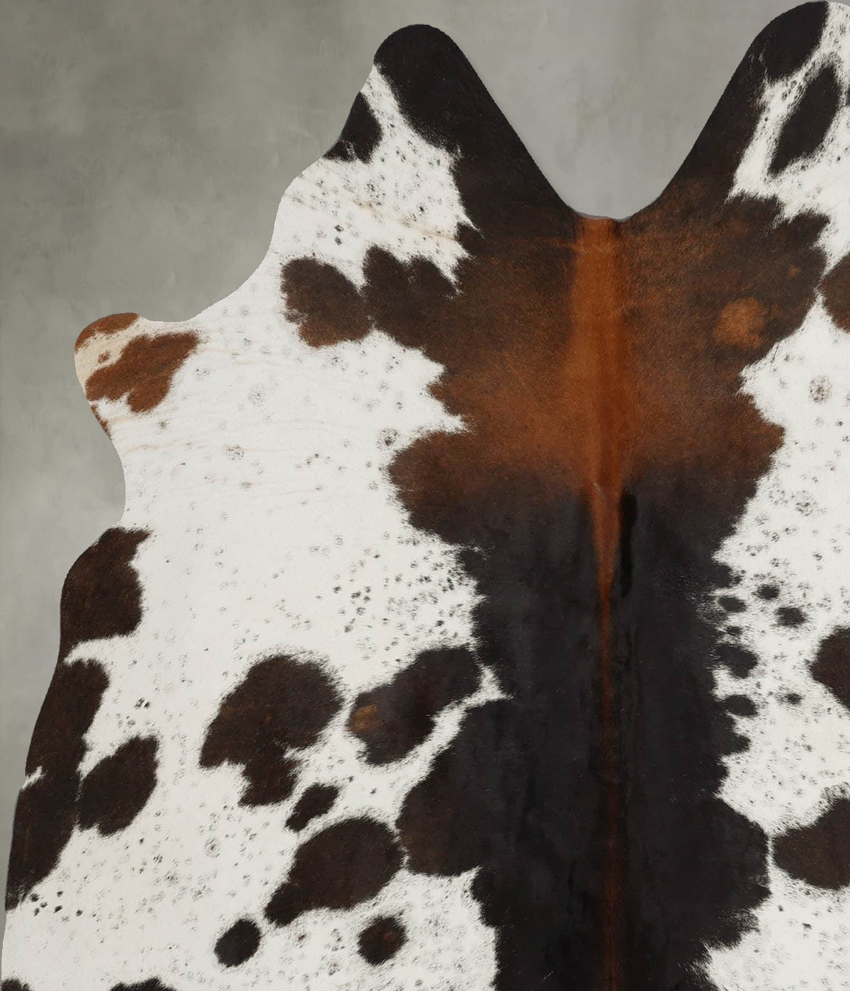 Chocolate and White Large Brazilian Cowhide Rug 6'1"H x 5'3"W #B31069 by Hudson Hides