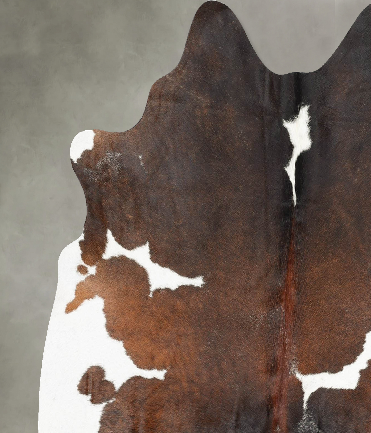 Chocolate and White Medium Brazilian Cowhide Rug 5'5"H x 5'3"W #B31073 by Hudson Hides
