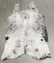 Salt and Pepper Black Large Brazilian Cowhide Rug 5'7"H x 5'6"W #B31074 by Hudson Hides