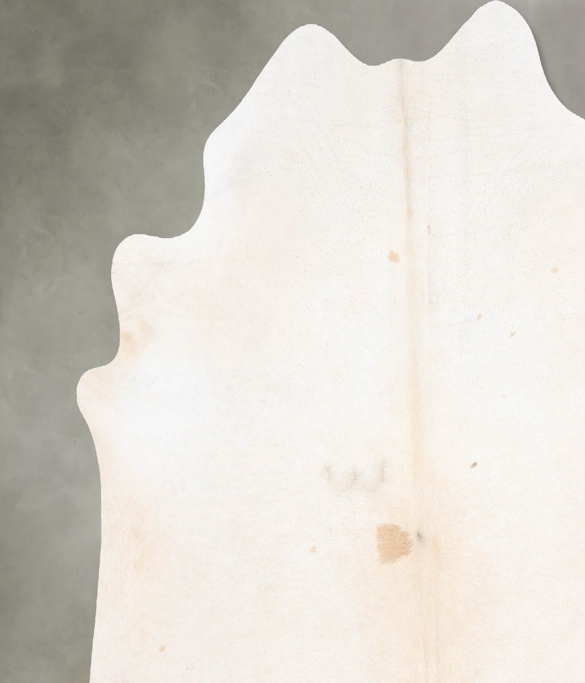 Ivory with Beige XX-Large Brazilian Cowhide Rug 7'3"H x 7'1"W #B31076 by Hudson Hides
