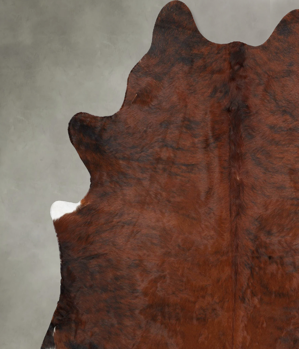 Medium Brindle XX-Large Brazilian Cowhide Rug 7'10"H x 6'7"W #B31077 by Hudson Hides