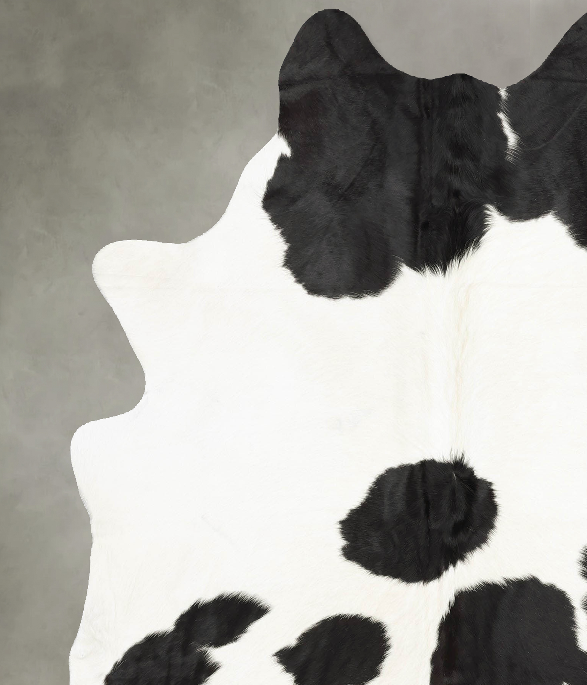 Black and White X-Large Brazilian Cowhide Rug 7'7"H x 6'1"W #B31078 by Hudson Hides