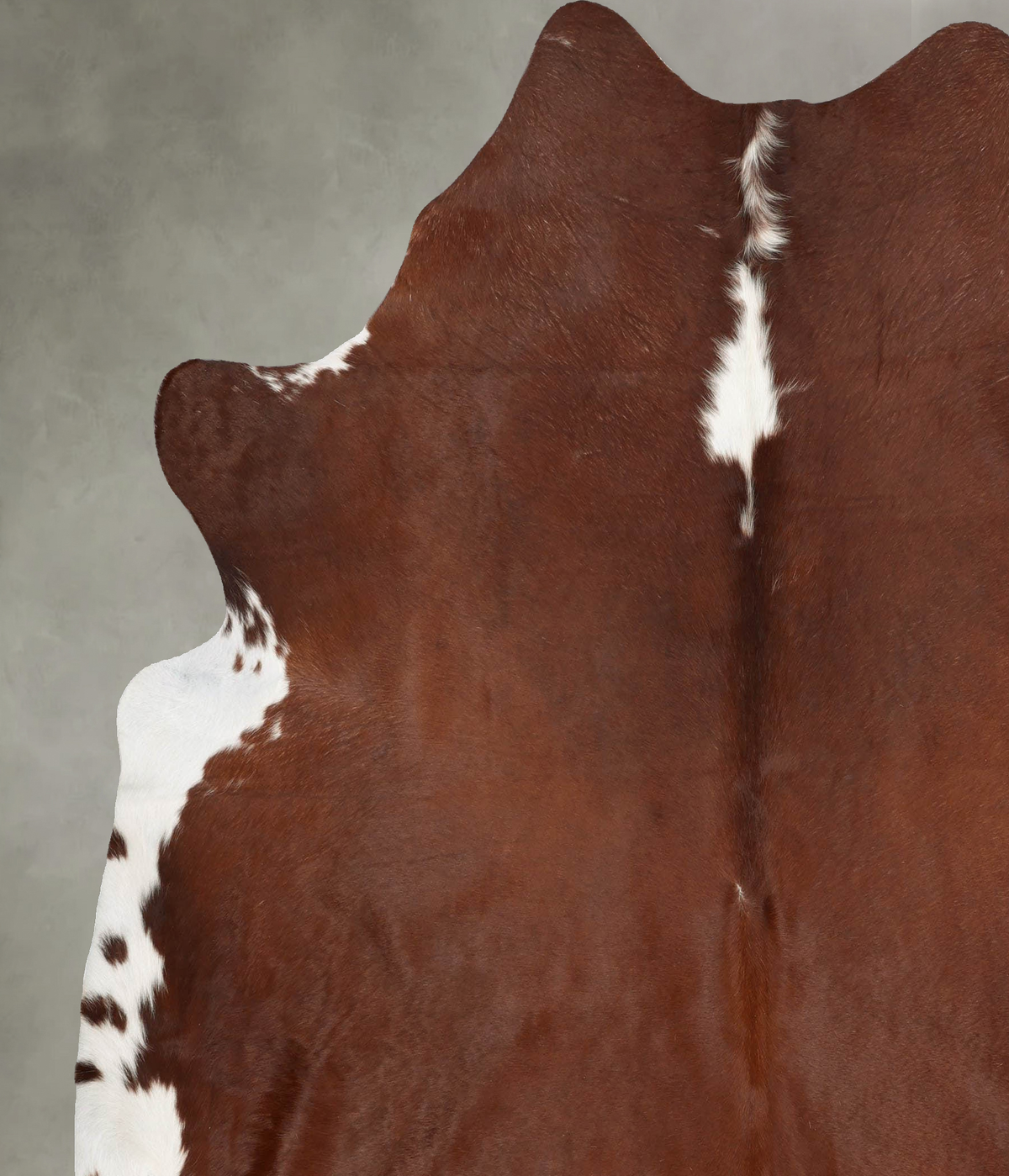 Brown and White Regular XX-Large Brazilian Cowhide Rug 7'11"H x 7'0"W #B31079 by Hudson Hides