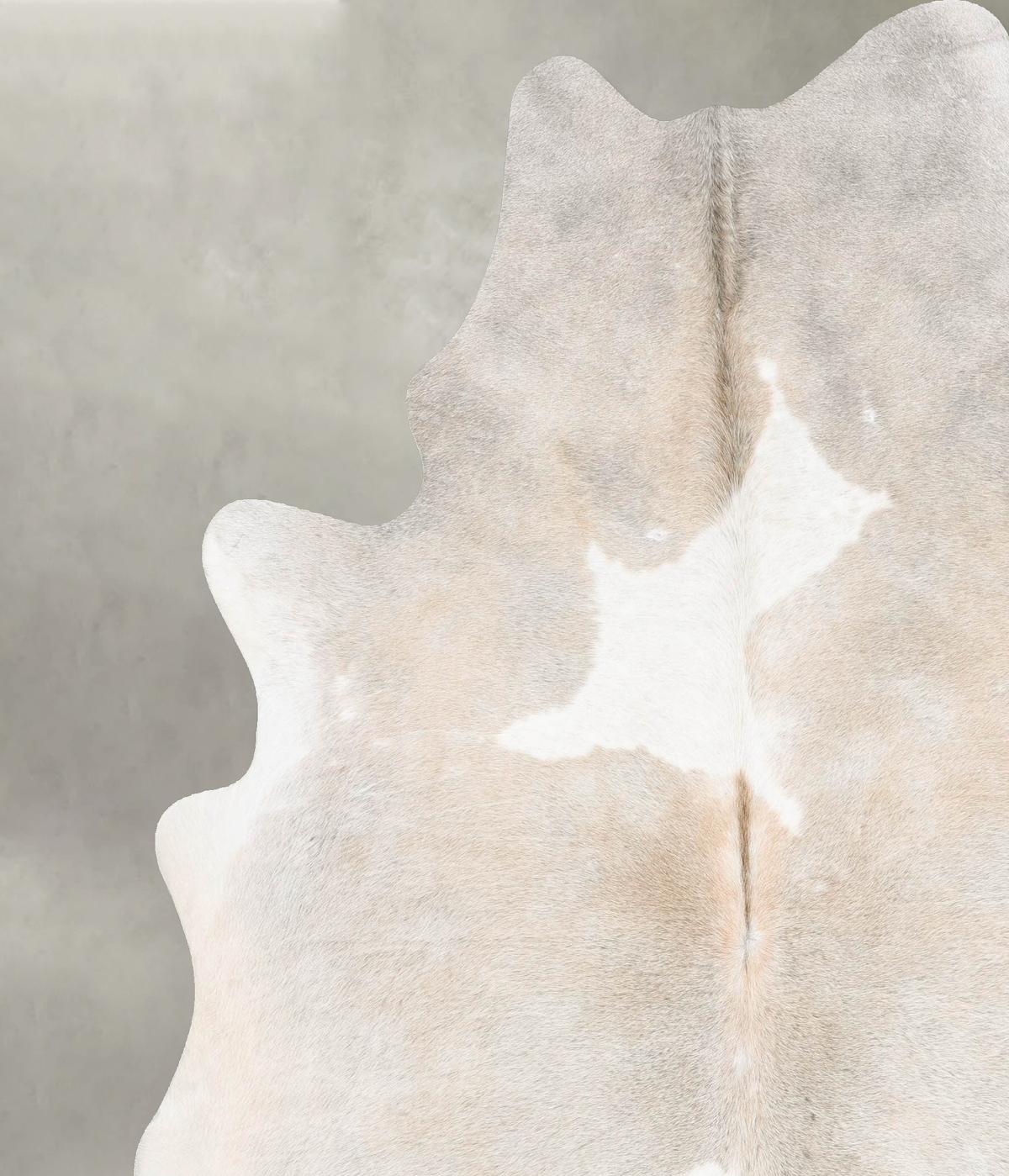 Beige and White XX-Large Brazilian Cowhide Rug 8'4"H x 7'0"W #B31082 by Hudson Hides