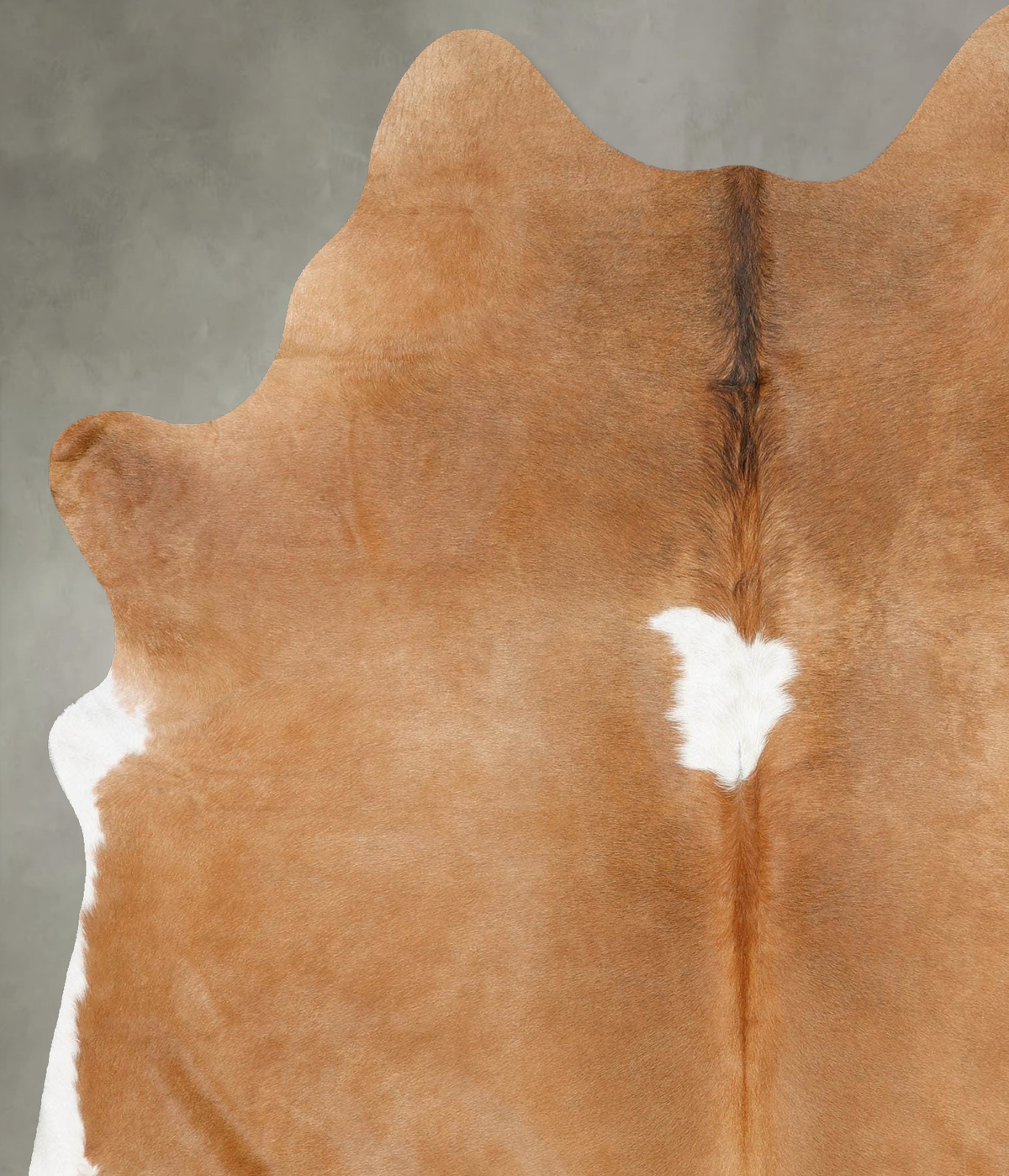 Brown and White Regular X-Large Brazilian Cowhide Rug 7'1"H x 5'11"W #B31090 by Hudson Hides