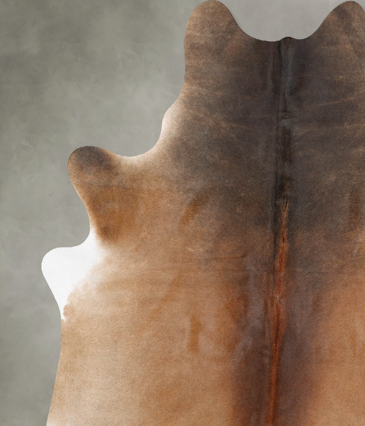 Light Caramel X-Large Brazilian Cowhide Rug 7'9"H x 6'5"W #B31091 by Hudson Hides