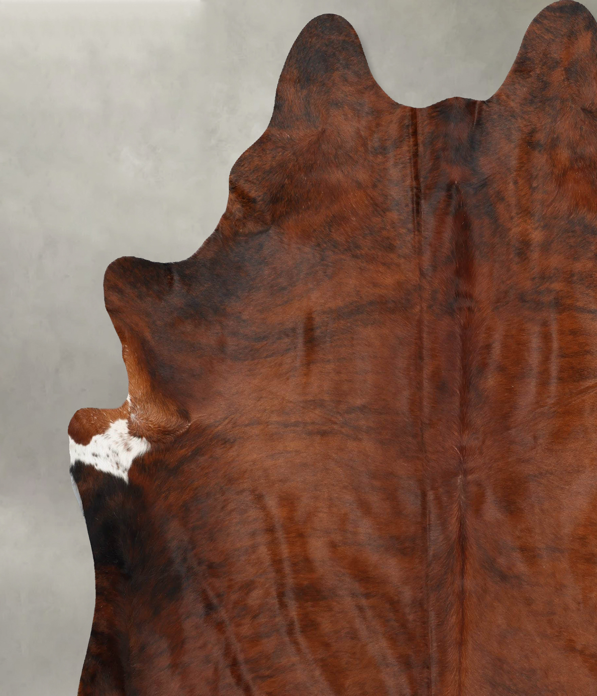 Medium Brindle XX-Large Brazilian Cowhide Rug 8'5"H x 7'2"W #B31095 by Hudson Hides