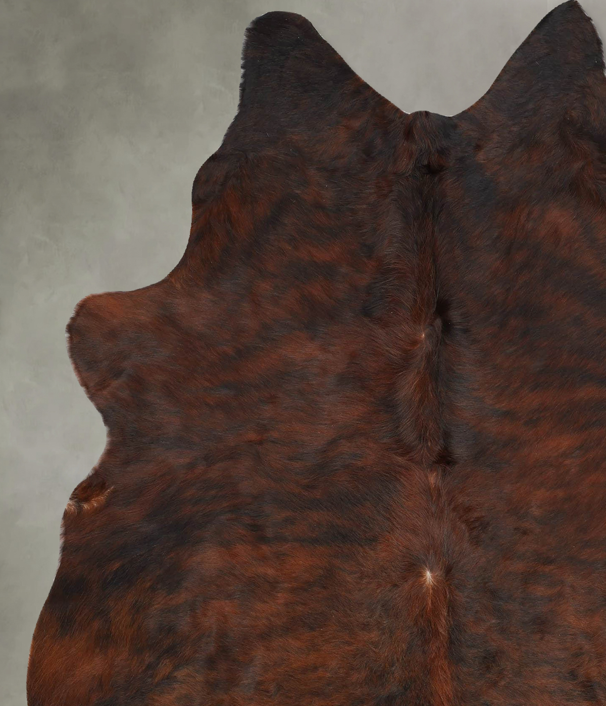 Dark Brindle Large Brazilian Cowhide Rug 6'10"H x 5'8"W #B31099 by Hudson Hides