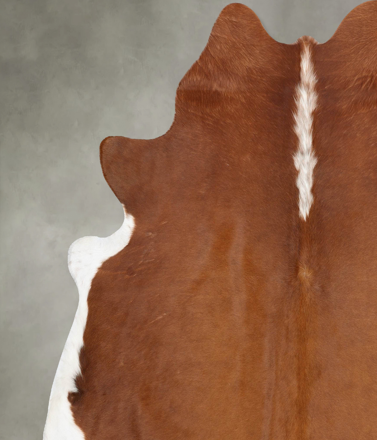 Hereford X-Large Brazilian Cowhide Rug 7'3"H x 6'9"W #B31102 by Hudson Hides