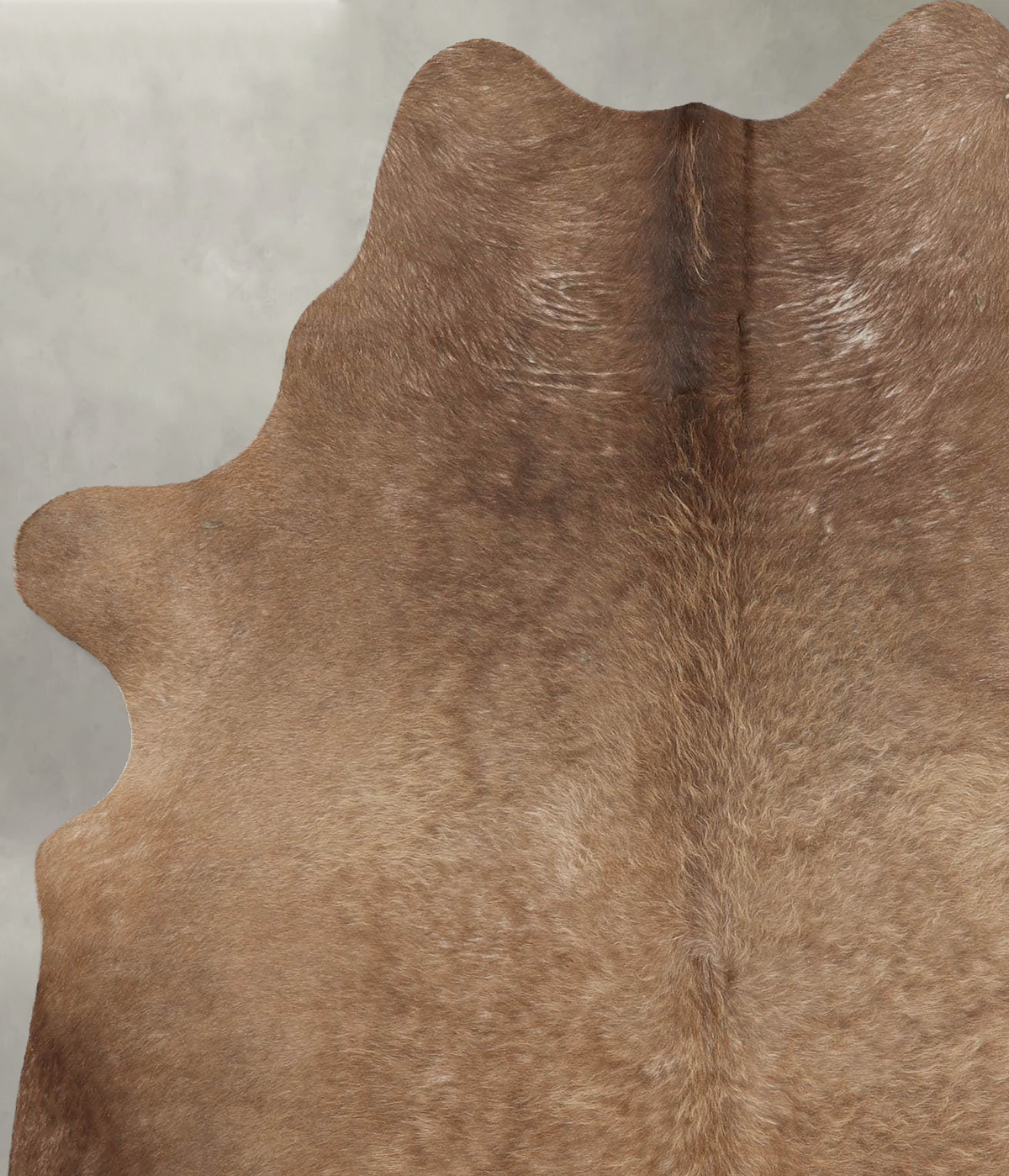 Taupe Large Brazilian Cowhide Rug 6'5"H x 5'2"W #B31106 by Hudson Hides