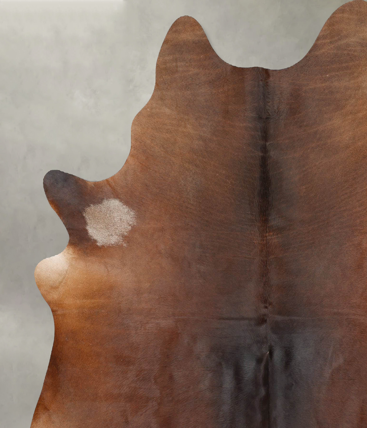 Warm Caramel X-Large Brazilian Cowhide Rug 7'3"H x 6'0"W #B31107 by Hudson Hides