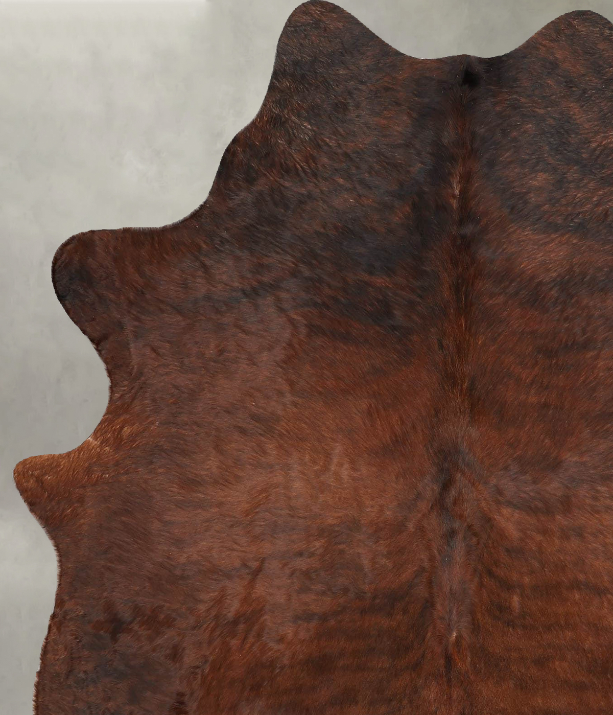 Dark Brindle Large Brazilian Cowhide Rug 6'7"H x 5'3"W #B31111 by Hudson Hides