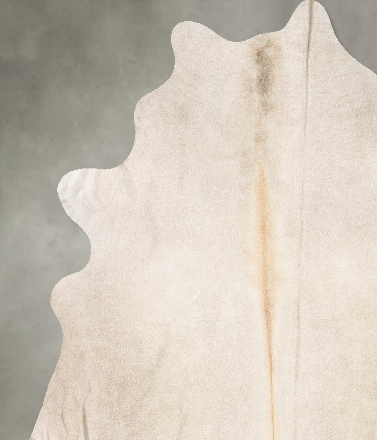 Champagne X-Large Brazilian Cowhide Rug 7'7"H x 6'7"W #B31113 by Hudson Hides