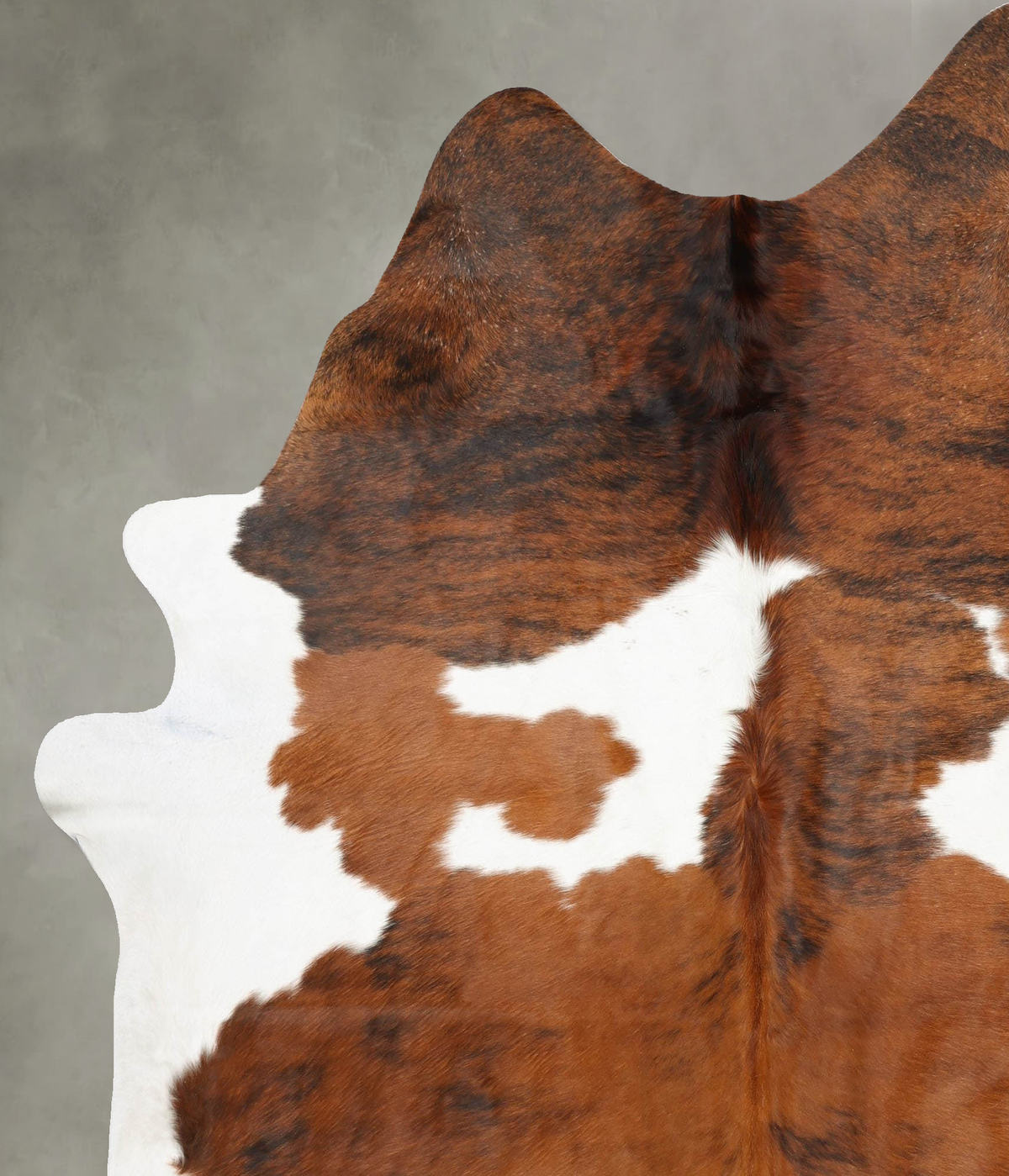 Tricolor XX-Large Brazilian Cowhide Rug 8'0"H x 6'9"W #B31122 by Hudson Hides