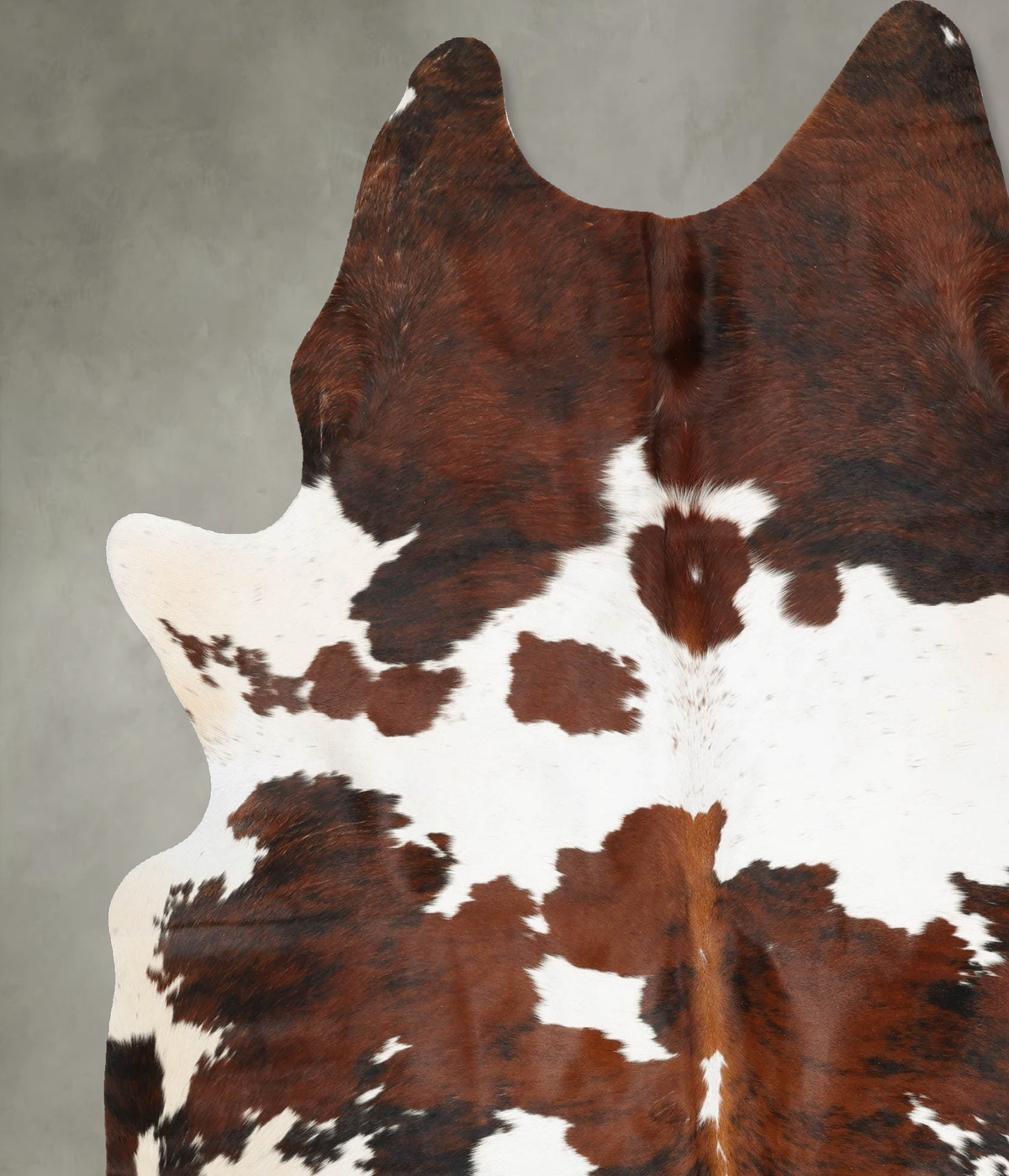 Tricolor XX-Large Brazilian Cowhide Rug 8'2"H x 6'7"W #B31123 by Hudson Hides