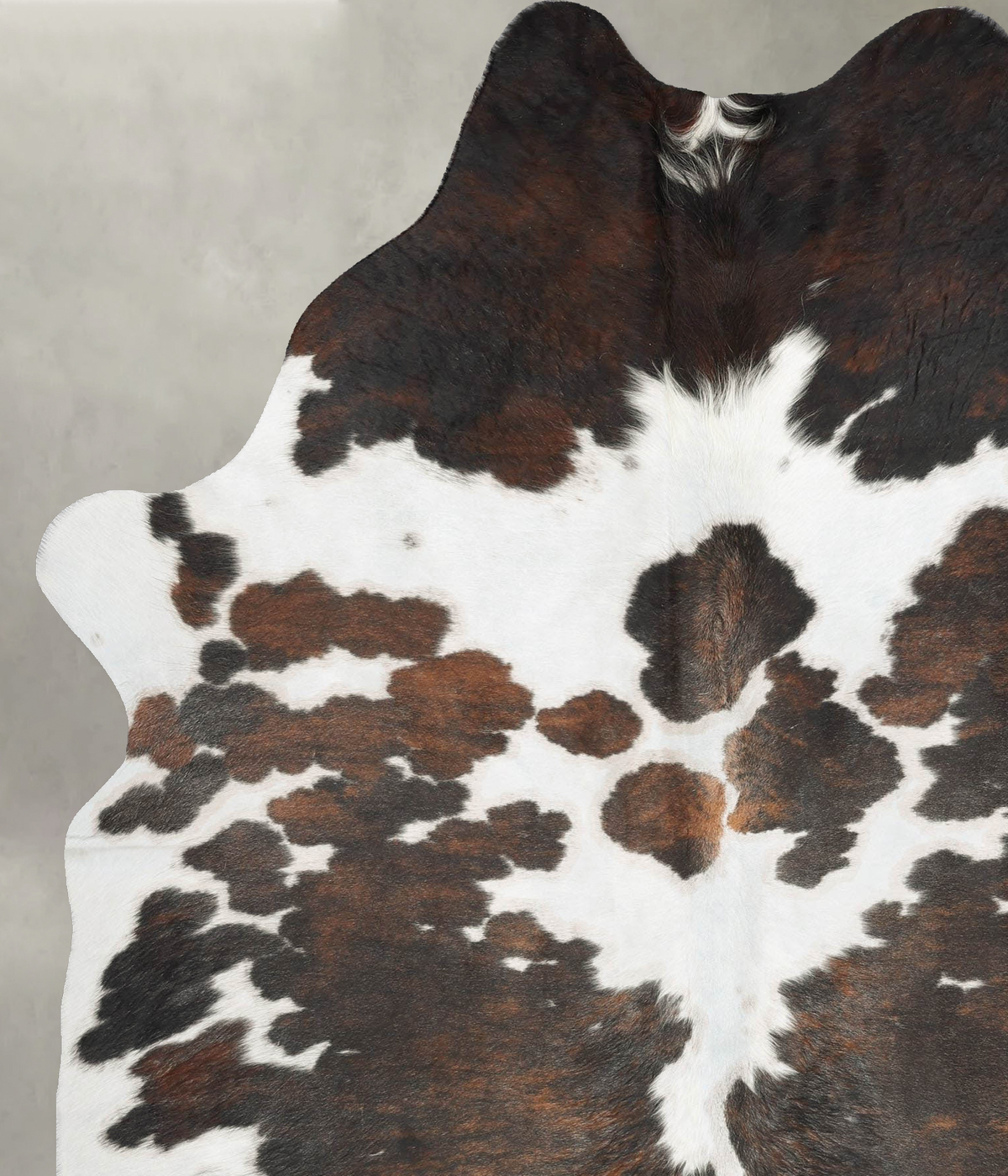 Tricolor X-Large Brazilian Cowhide Rug 8'0"H x 6'0"W #B31124 by Hudson Hides