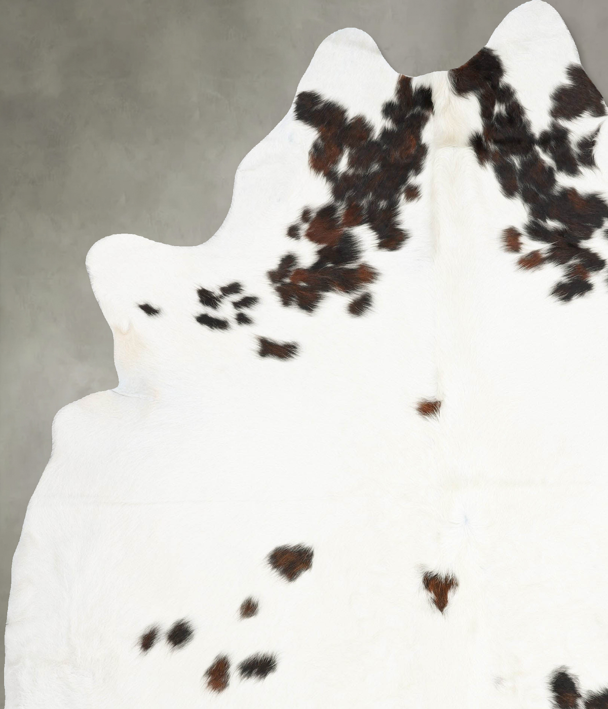 Tricolor Cowhide Rug #B31125
