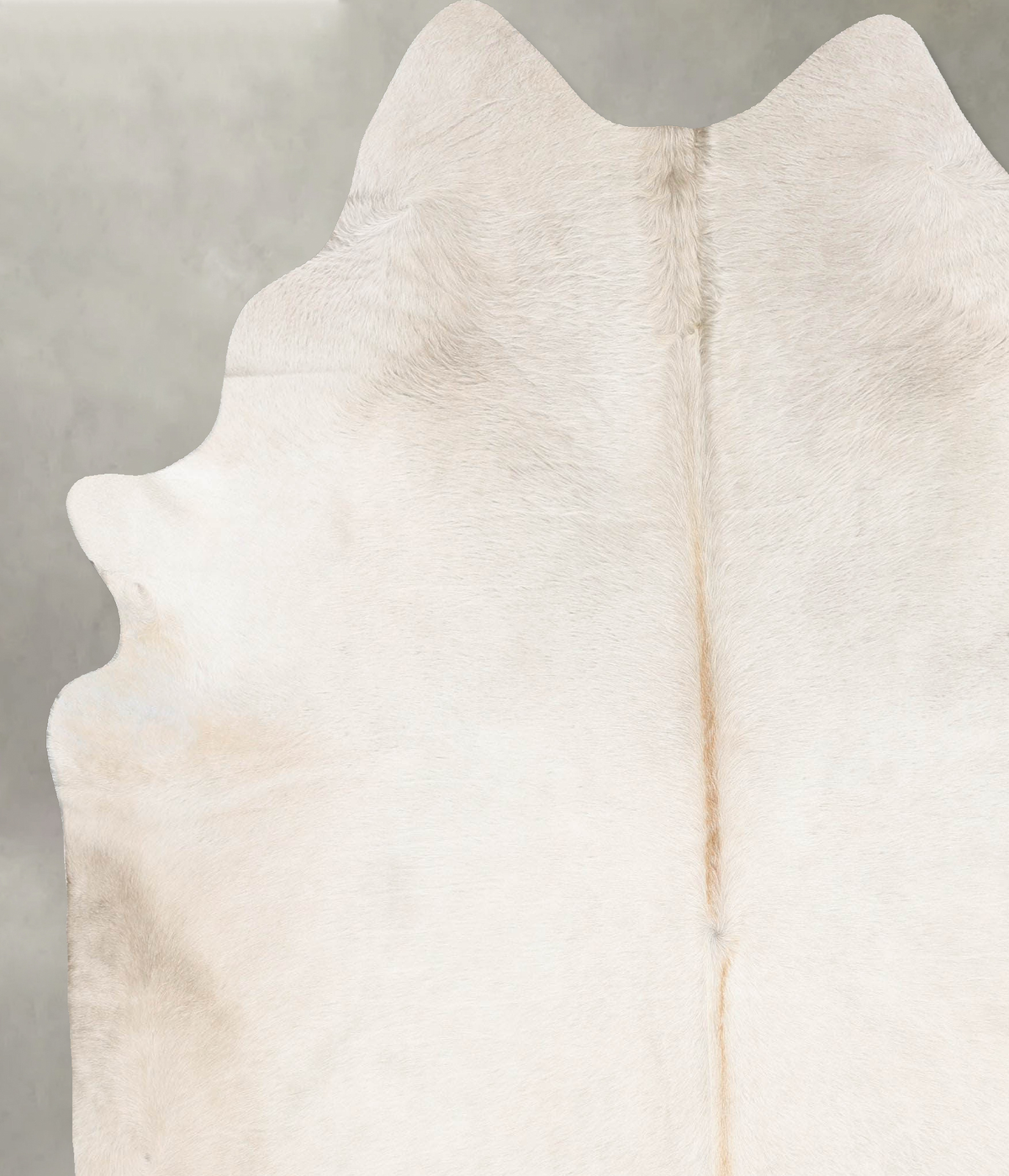 Champagne XX-Large Brazilian Cowhide Rug 8'0"H x 6'10"W #B31129 by Hudson Hides