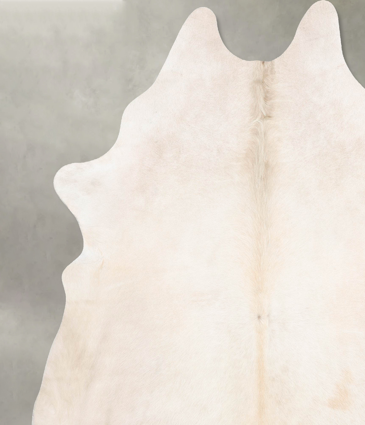 Champagne XX-Large Brazilian Cowhide Rug 8'0"H x 6'9"W #B31130 by Hudson Hides