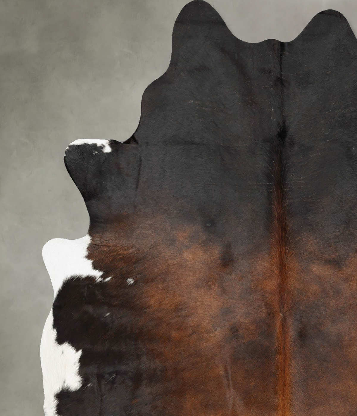 Chocolate and White X-Large Brazilian Cowhide Rug 7'6"H x 5'9"W #B31131 by Hudson Hides