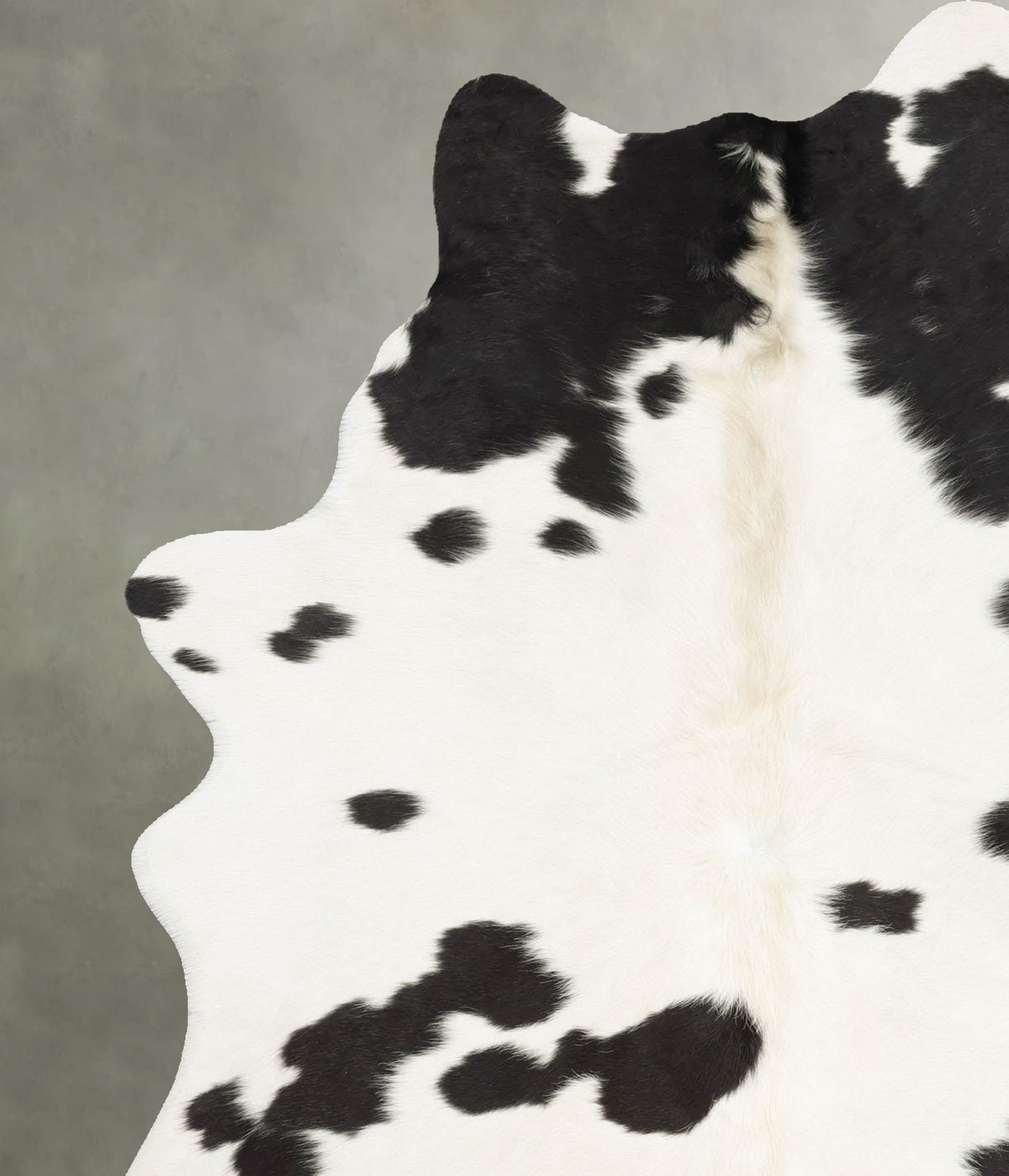 Black and White Large Brazilian Cowhide Rug 6'8"H x 4'9"W #B31133 by Hudson Hides