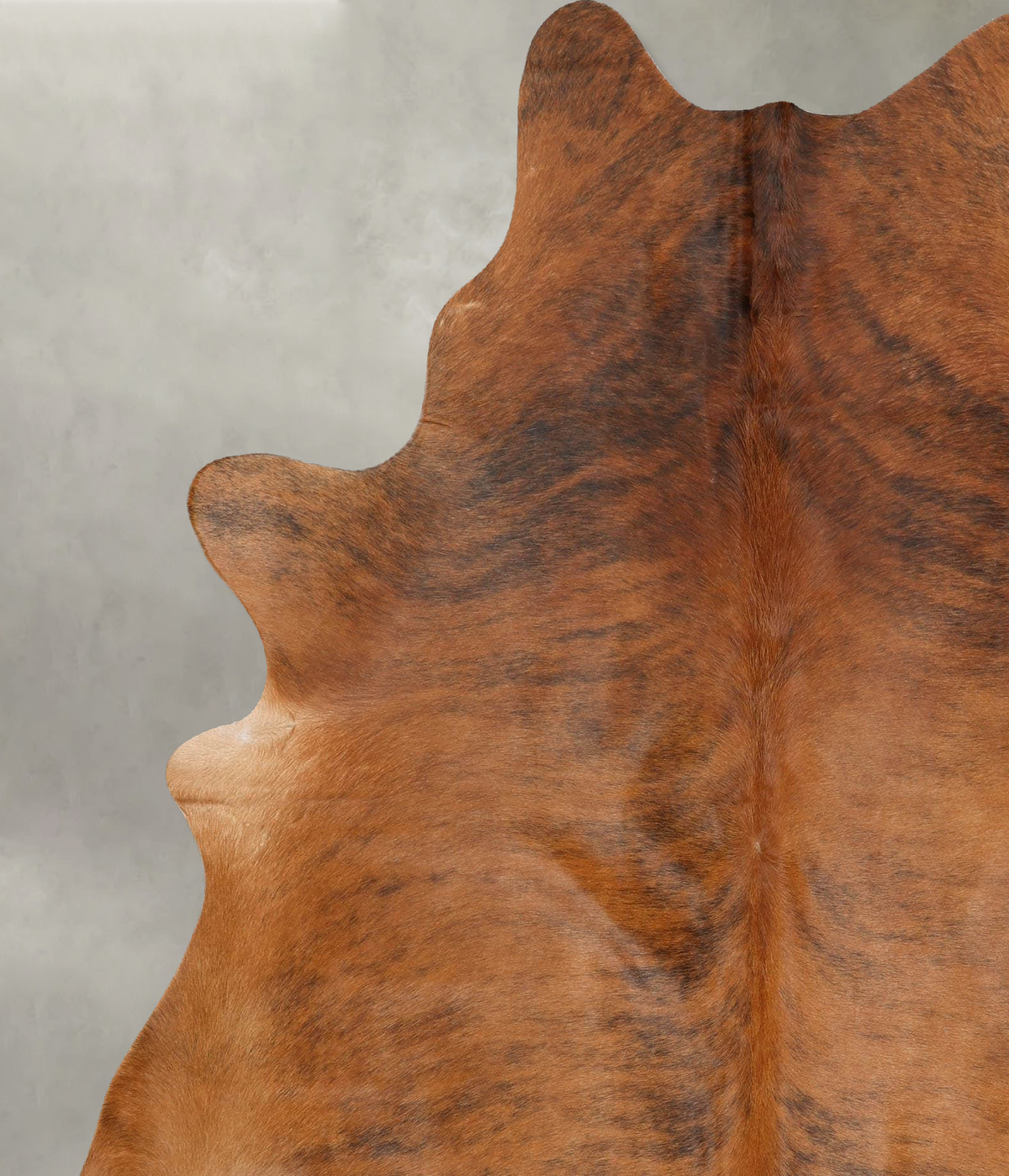 Medium Brindle X-Large Brazilian Cowhide Rug 7'5"H x 6'2"W #B31139 by Hudson Hides