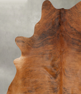 Medium Brindle X-Large Brazilian Cowhide Rug 7'5"H x 6'2"W #B31139 by Hudson Hides