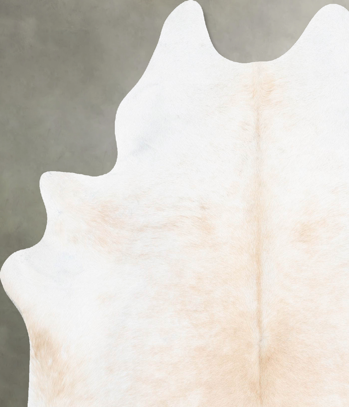 Ivory with Beige Large Brazilian Cowhide Rug 7'0"H x 5'6"W #B31143 by Hudson Hides