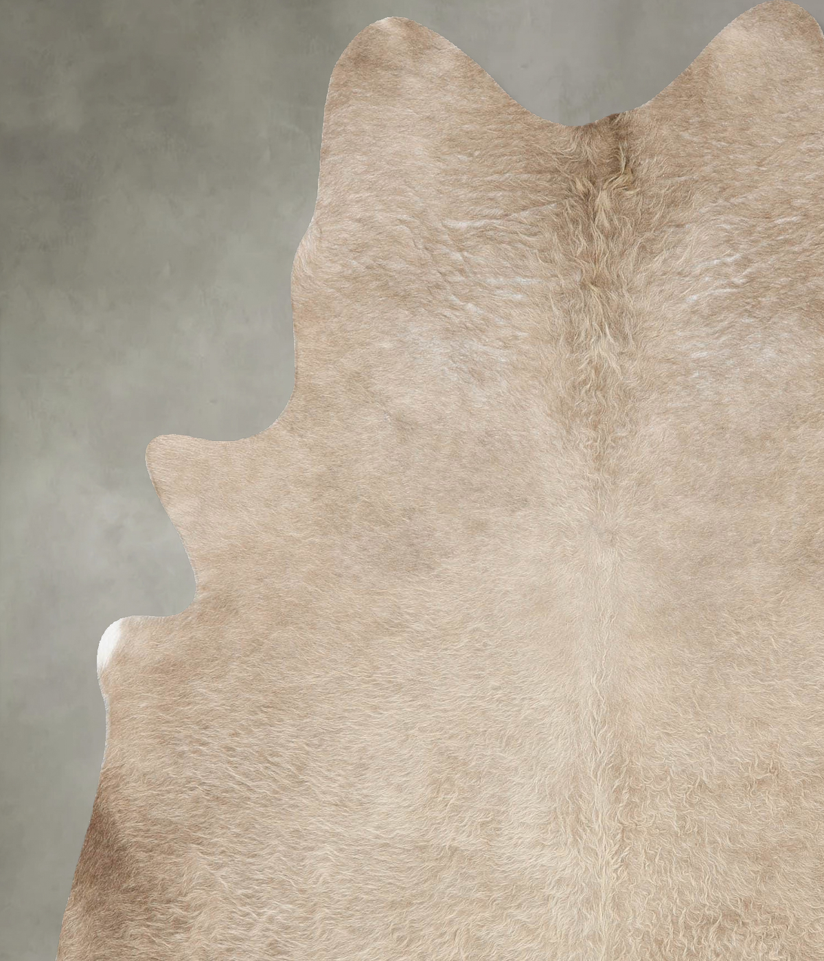 Champagne X-Large Brazilian Cowhide Rug 6'11"H x 5'10"W #B31149 by Hudson Hides