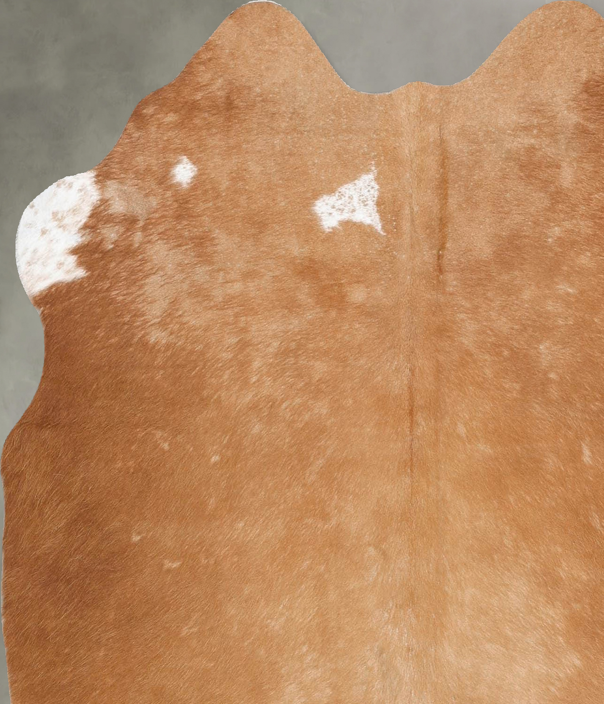Beige and White Medium Brazilian Cowhide Rug 5'0"H x 5'1"W #B31164 by Hudson Hides