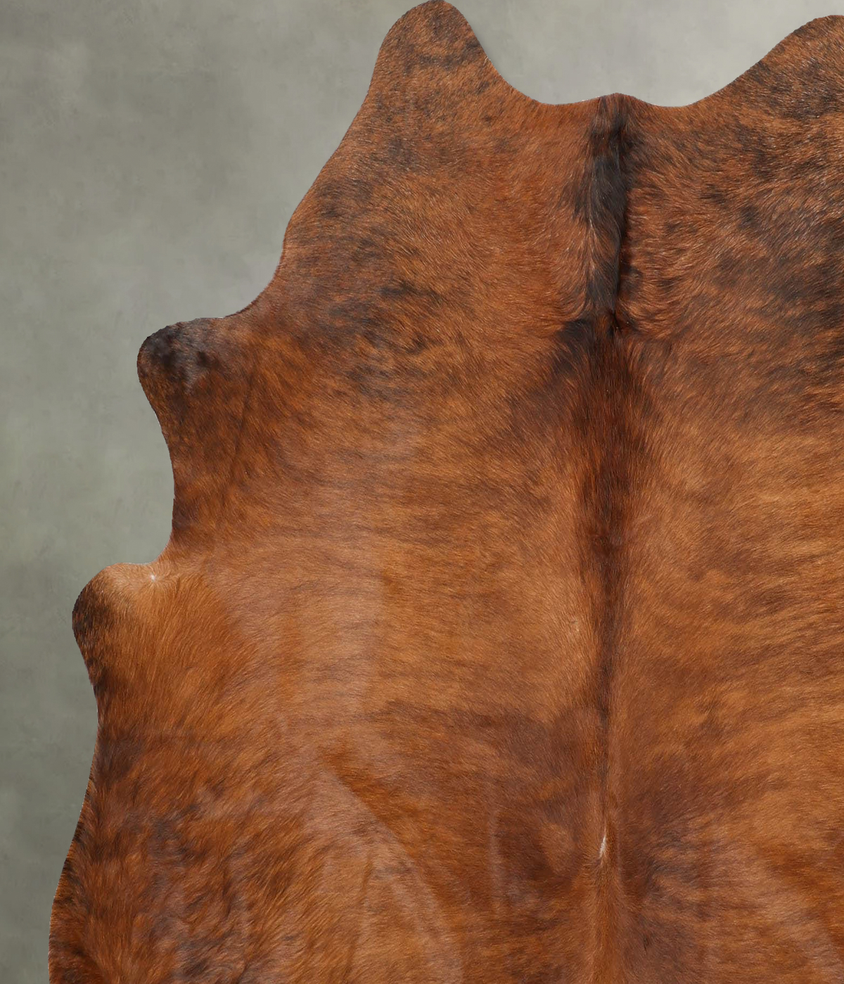 Medium Brindle Large Brazilian Cowhide Rug 6'2"H x 6'2"W #B31183 by Hudson Hides