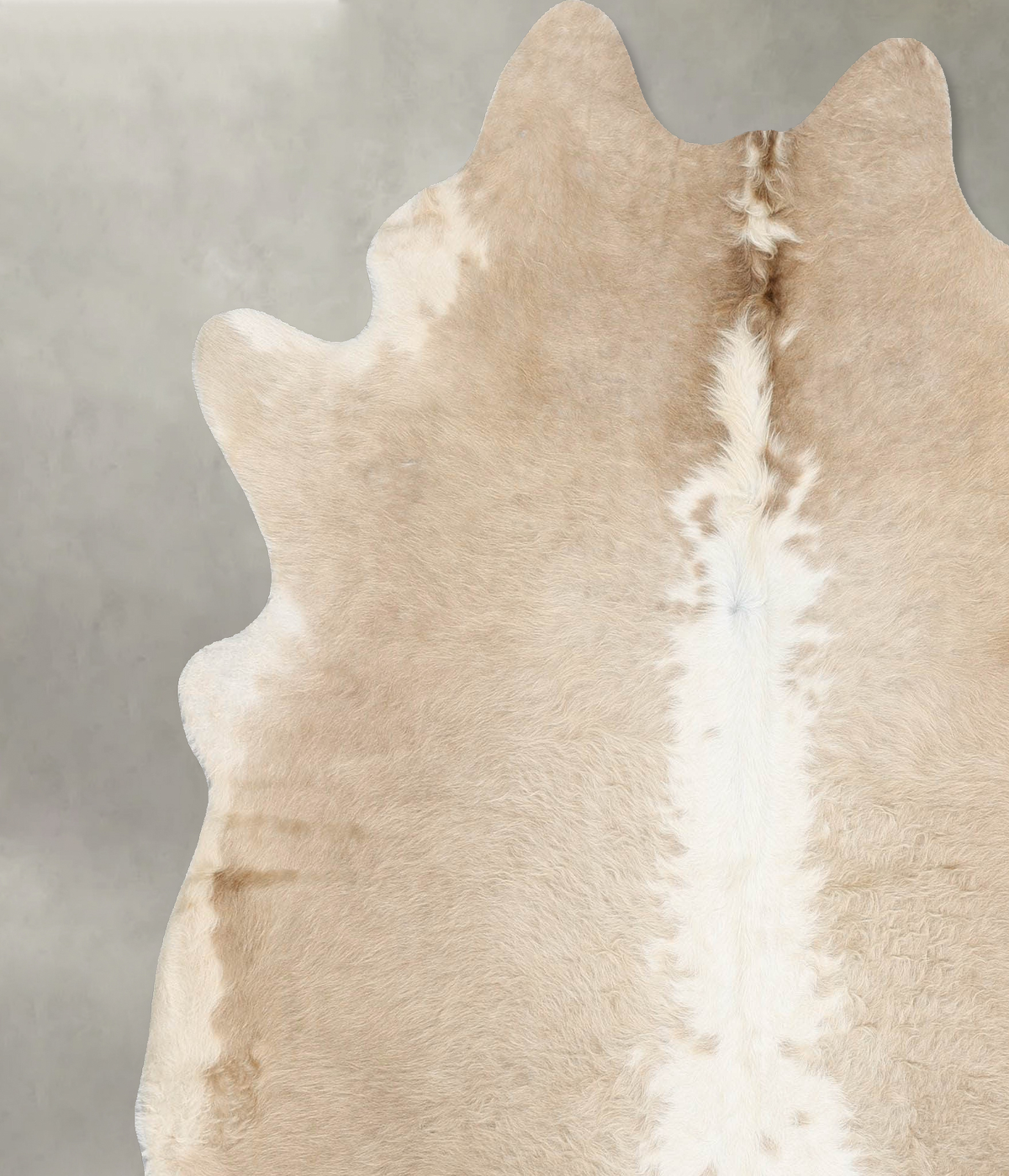 Champagne Cowhide Rug #B31197