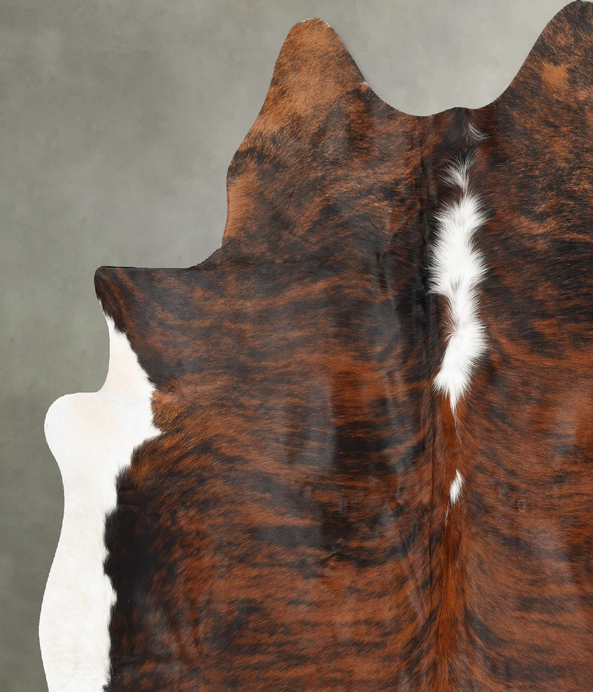 Tricolor Cowhide Rug #B31198
