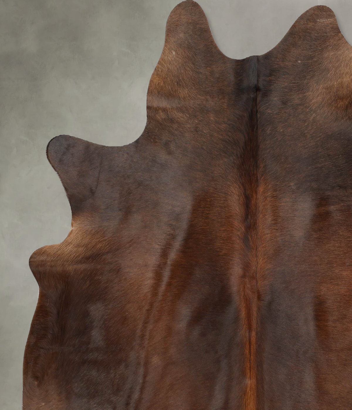 Chocolate Large Brazilian Cowhide Rug 6'7"H x 5'10"W #B31201 by Hudson Hides