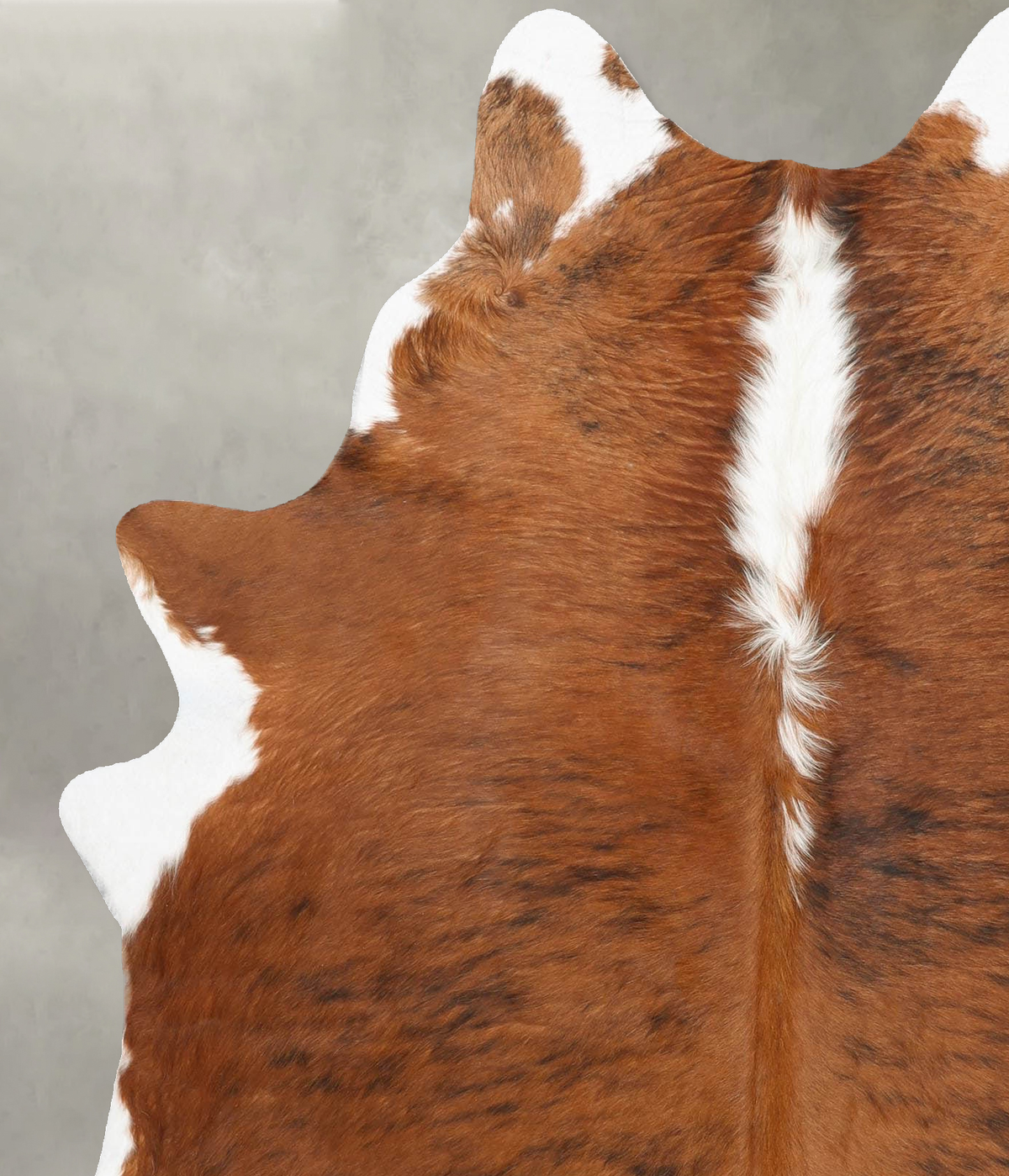 Medium Brindle Large Brazilian Cowhide Rug 6'8"H x 5'5"W #B31204 by Hudson Hides