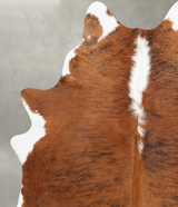 Medium Brindle Large Brazilian Cowhide Rug 6'8"H x 5'5"W #B31204 by Hudson Hides