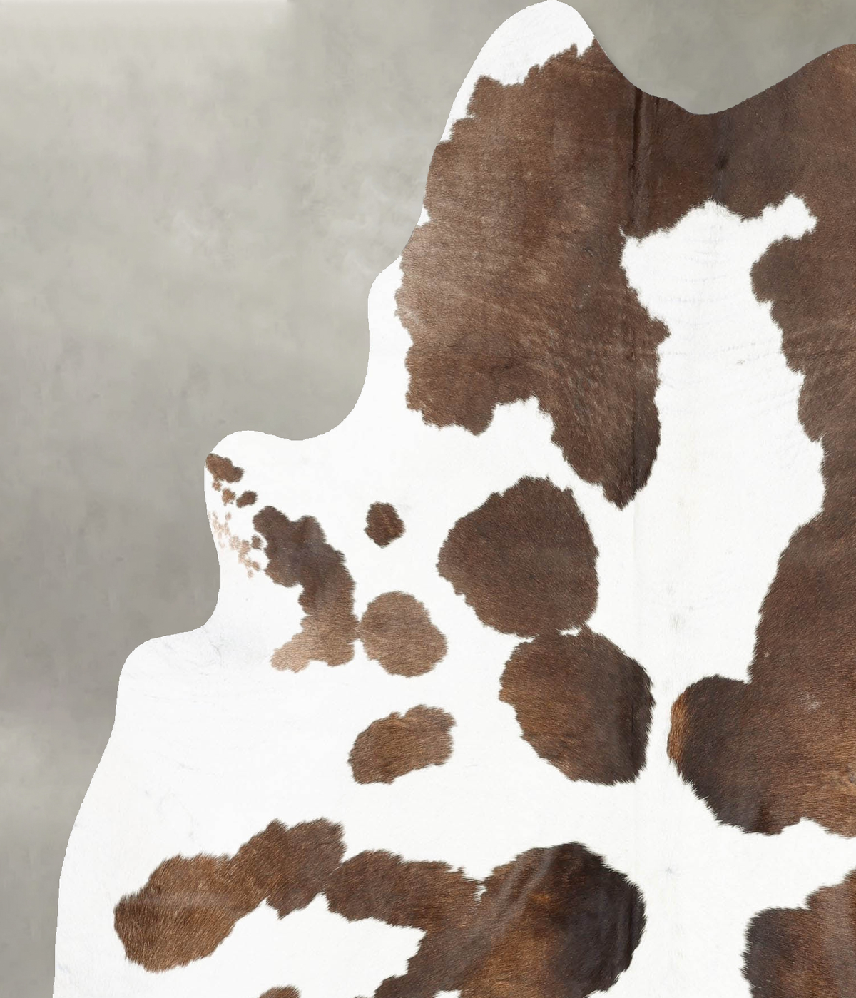 Chocolate and White X-Large Brazilian Cowhide Rug 7'3"H x 5'11"W #B31206 by Hudson Hides