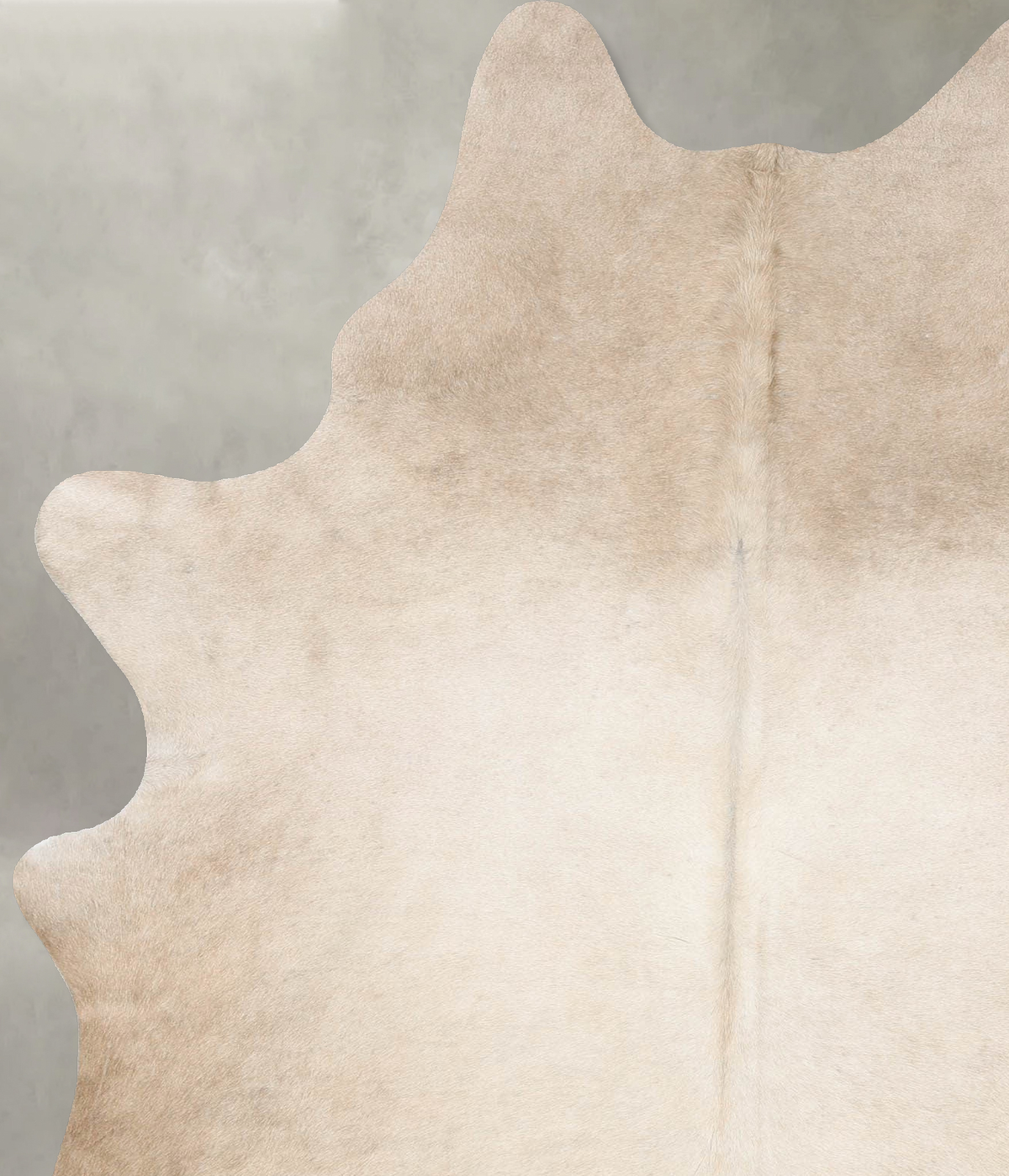 Champagne Large Brazilian Cowhide Rug 7'2"H x 5'2"W #B31207 by Hudson Hides