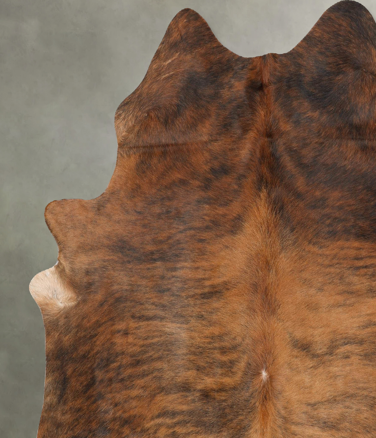 Medium Brindle X-Large Brazilian Cowhide Rug 6'9"H x 5'11"W #B31209 by Hudson Hides