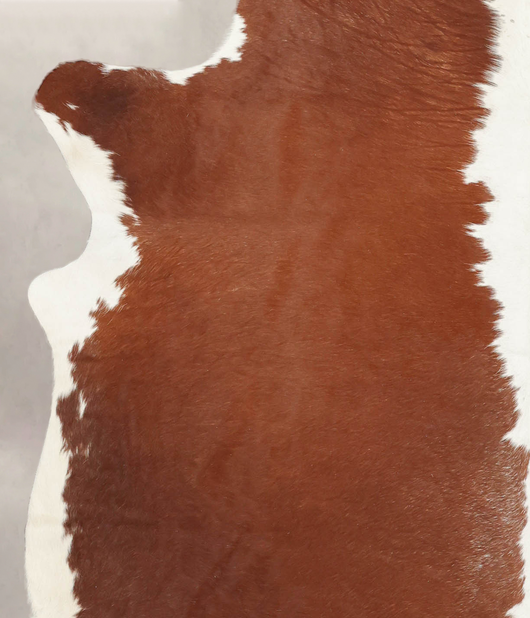 Hereford Cowhide Rug #B3121