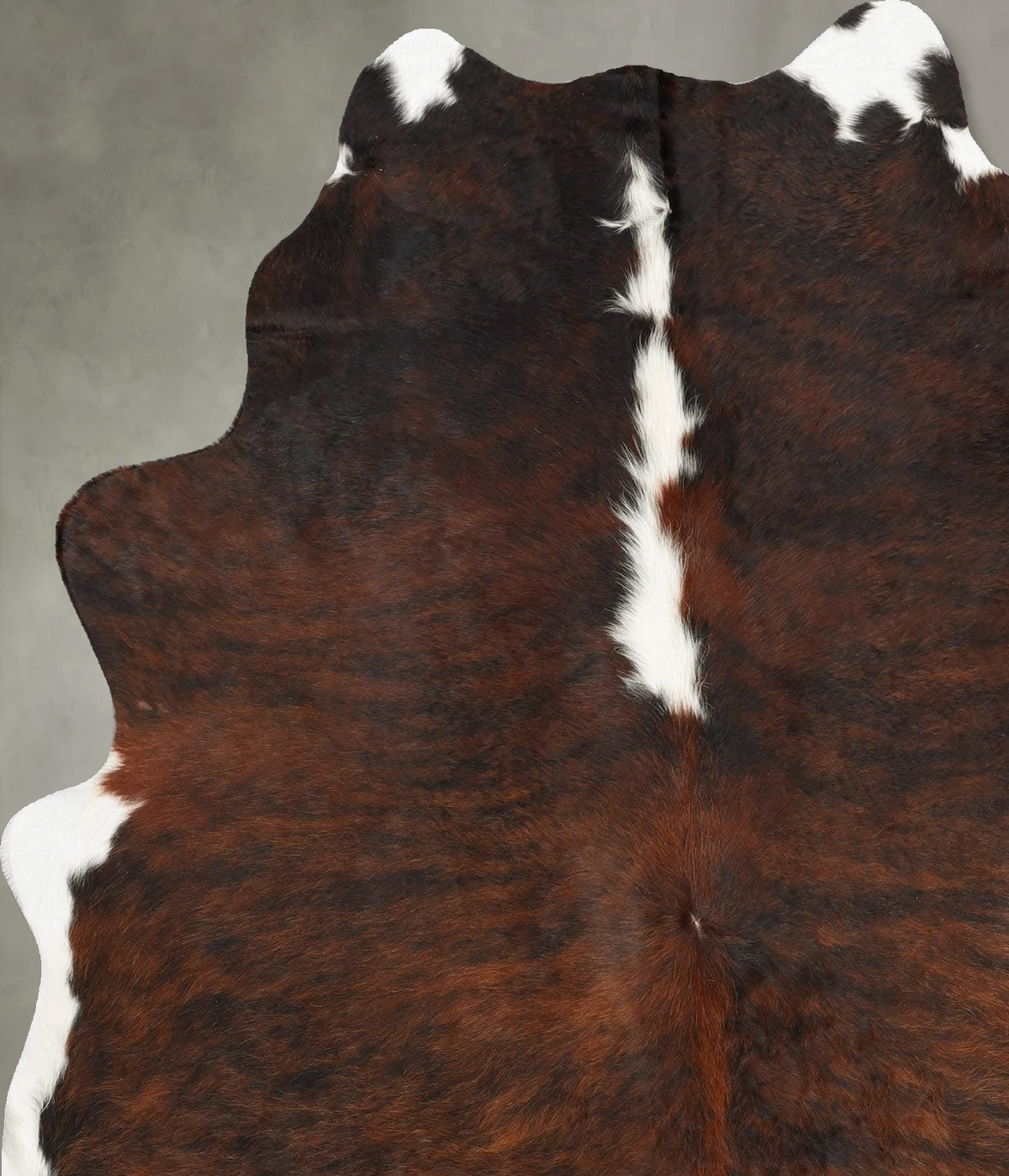 Tricolor Cowhide Rug #B31213
