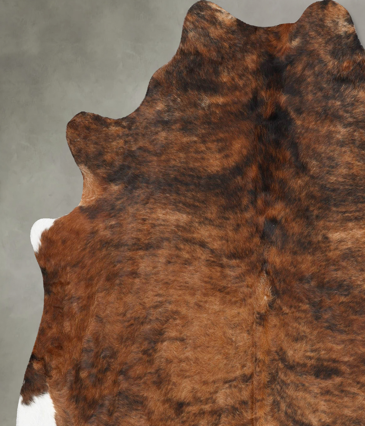 Medium Brindle X-Large Brazilian Cowhide Rug 7'0"H x 6'0"W #B31215 by Hudson Hides