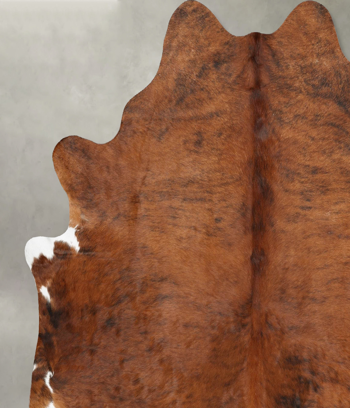 Medium Brindle X-Large Brazilian Cowhide Rug 7'1"H x 6'5"W #B31217 by Hudson Hides