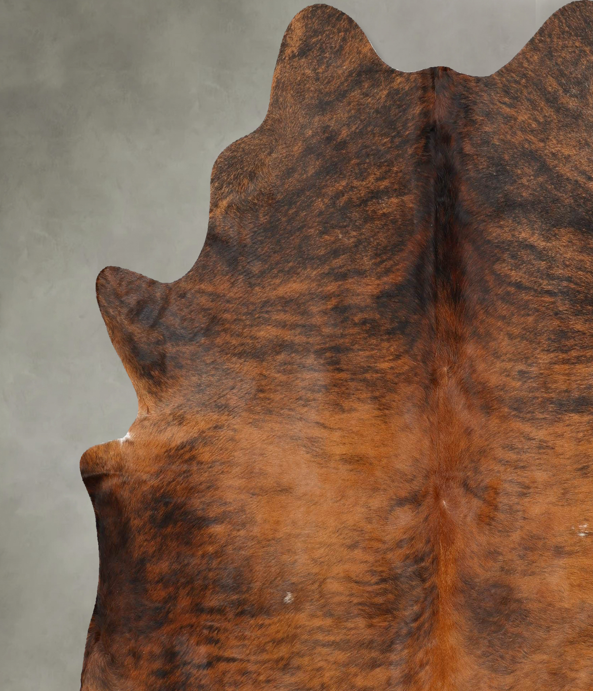 Medium Brindle X-Large Brazilian Cowhide Rug 6'10"H x 6'6"W #B31220 by Hudson Hides