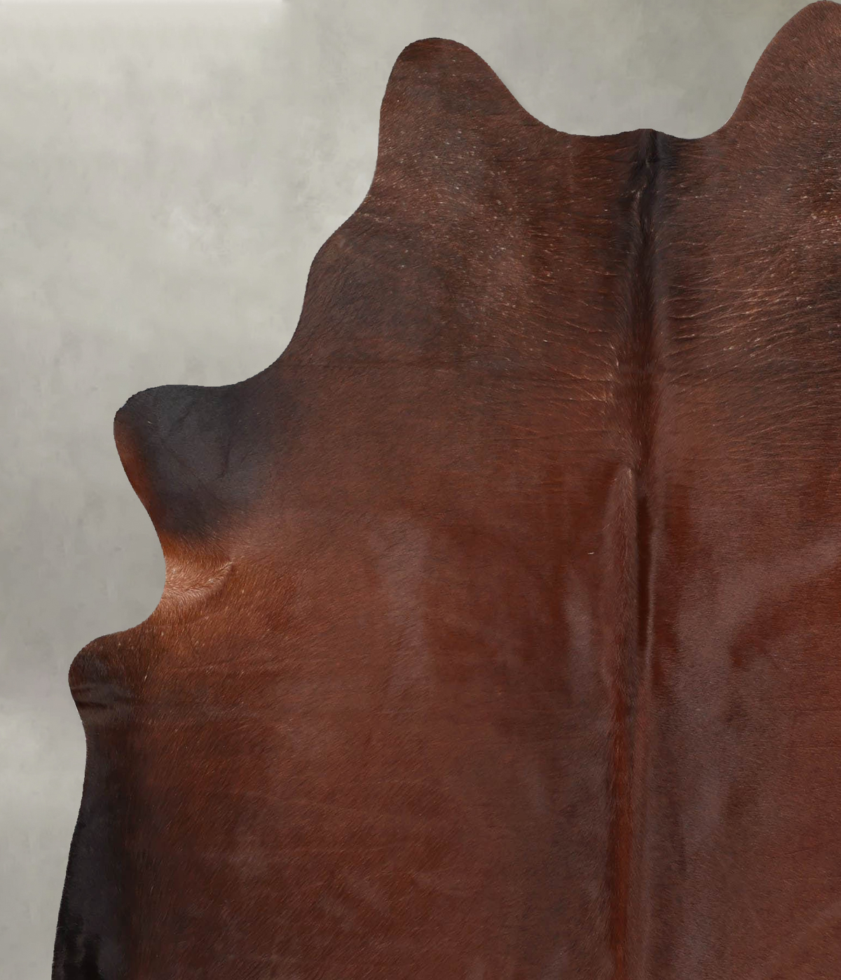 Warm Caramel X-Large Brazilian Cowhide Rug 6'11"H x 6'0"W #B31223 by Hudson Hides